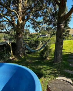 hammock.jpg