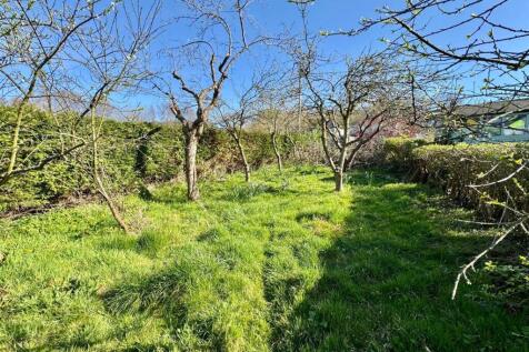 PHOTO-2025-04-12-18-52-48 (18).jpg