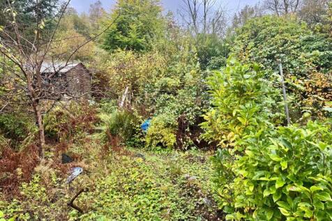 PHOTO-2025-11-05-08-15-48 (6).jpg