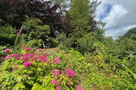 PHOTO-2025-07-09-21-14-05 (3).jpg