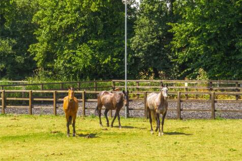 Equestrian