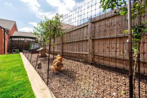 Chicken Coop