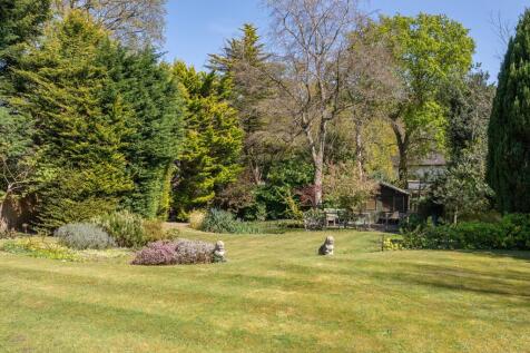 Property Image 19