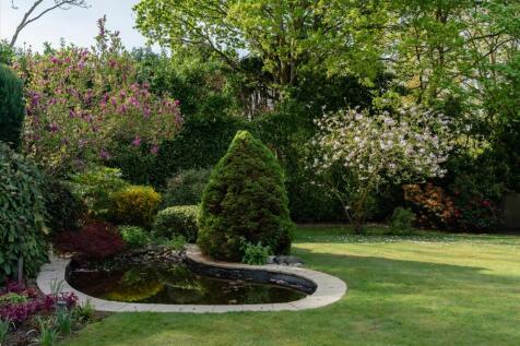 Property Image 31