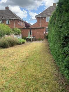 Garden 1