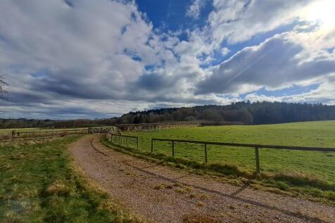 View Down Drive