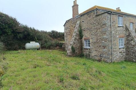 Back garden 