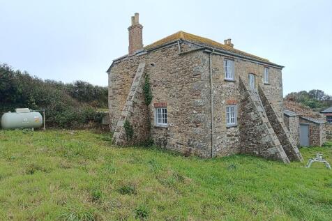 Back garden 