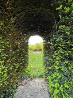 Hedging 