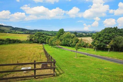 Driveway And Paddock