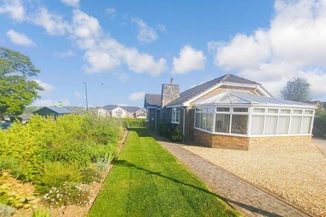 Garden &amp; Driveway*