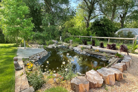 Garden / Pond