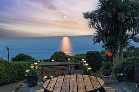 Moonlight View*