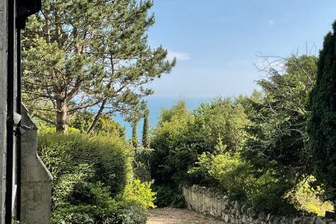 Driveway View