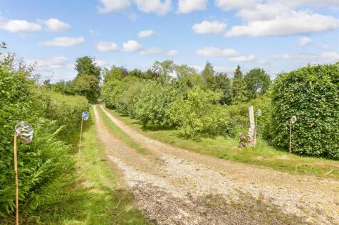 Driveway/Parking