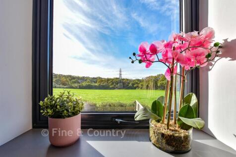 Internal Lifestyle Photograph