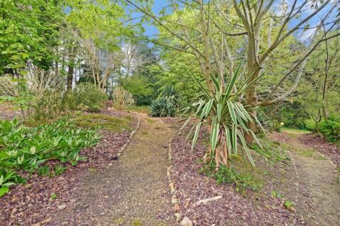 Side Garden