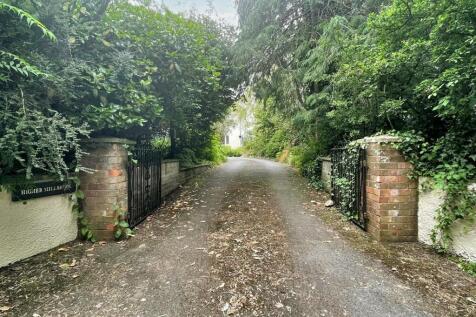 Driveway.jpg