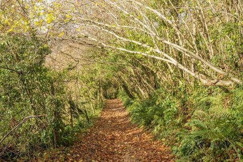 Woodland