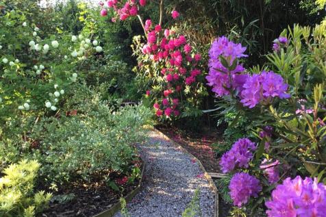 Summer Garden