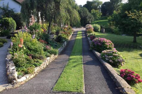 Summer Garden
