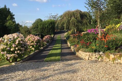 Summer Garden