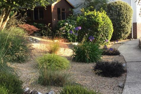 Summer Garden