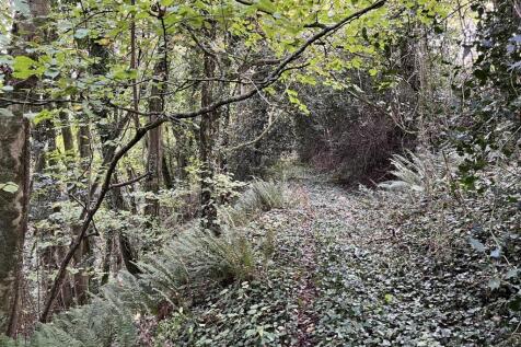 Woodland