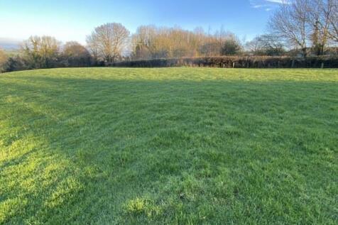 Field