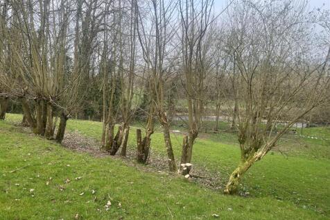 image00019.jpeg