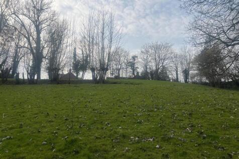 image00020.jpeg