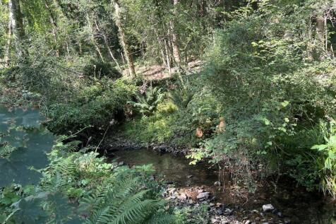 image00019.jpeg