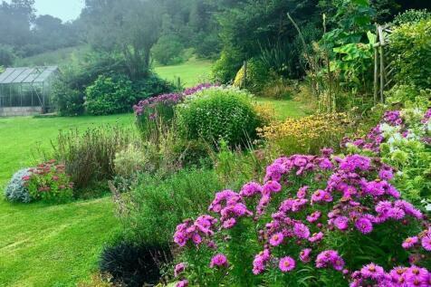 garden 4.jpg