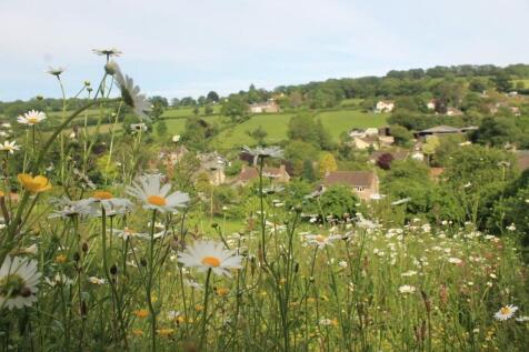 garden 12.jpg