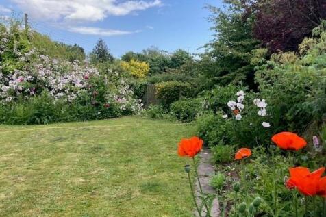 Garden 2.jpg