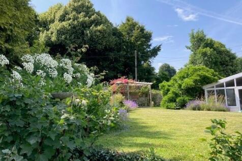 Garden 3.jpg