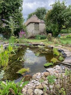 Pond.jpg