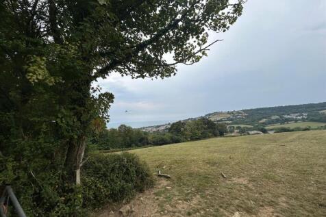 image00006.jpeg