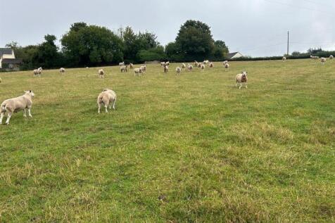 IMG-20250902-WA0009 (1).jpg