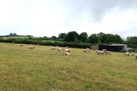 IMG-20250902-WA0027 (1).jpg