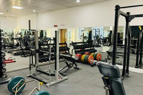 Gym 2.jpg