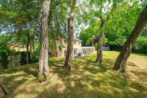 Property Image 36