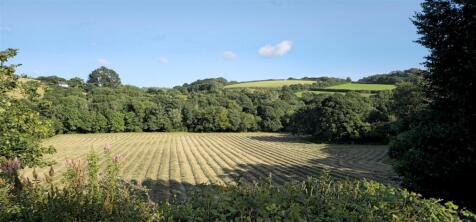 Field