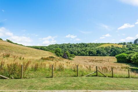 Field
