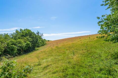 Field