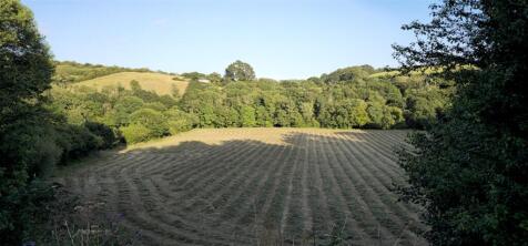 Field