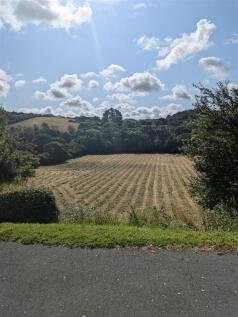 Field