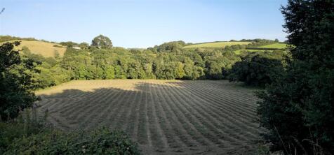 Field