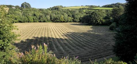 Field