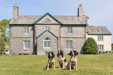 Highercombe House &amp; Spaniels!